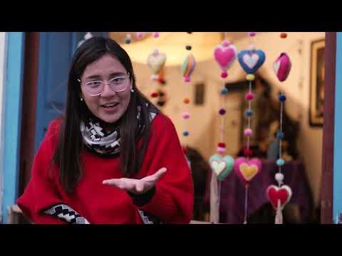 Preview image for the video "Nicole Ames &amp; Students Build a Biodigestor to Tackle Real-World Challenges in Peru".